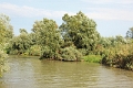 14_delta_226
