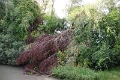 14_delta_228