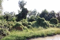 14_delta_231