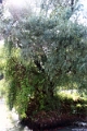 14_delta_232