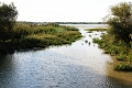 14_delta_233