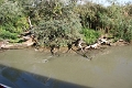 14_delta_237