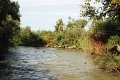 14_delta_239