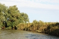 14_delta_241