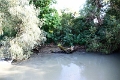 14_delta_242