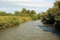 14_delta_243