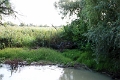 14_delta_246