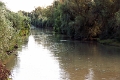 14_delta_251