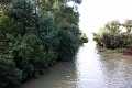 14_delta_255