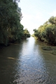 14_delta_256