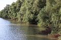 14_delta_257