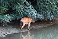 14_delta_261