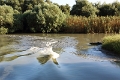 14_delta_268