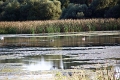 14_delta_269