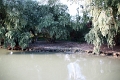 14_delta_270