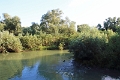 14_delta_274