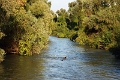 14_delta_280