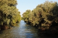 14_delta_282