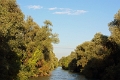 14_delta_283