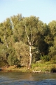 14_delta_288