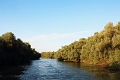 14_delta_289