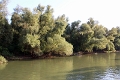 14_delta_292