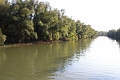 14_delta_294