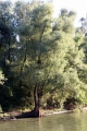 14_delta_296