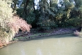 14_delta_298