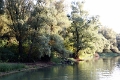 14_delta_299