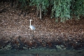 14_delta_301