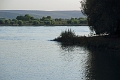 14_delta_303