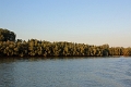 14_delta_309