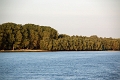 14_delta_312