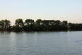 14_delta_314