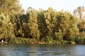 14_delta_320