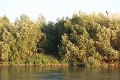 14_delta_322
