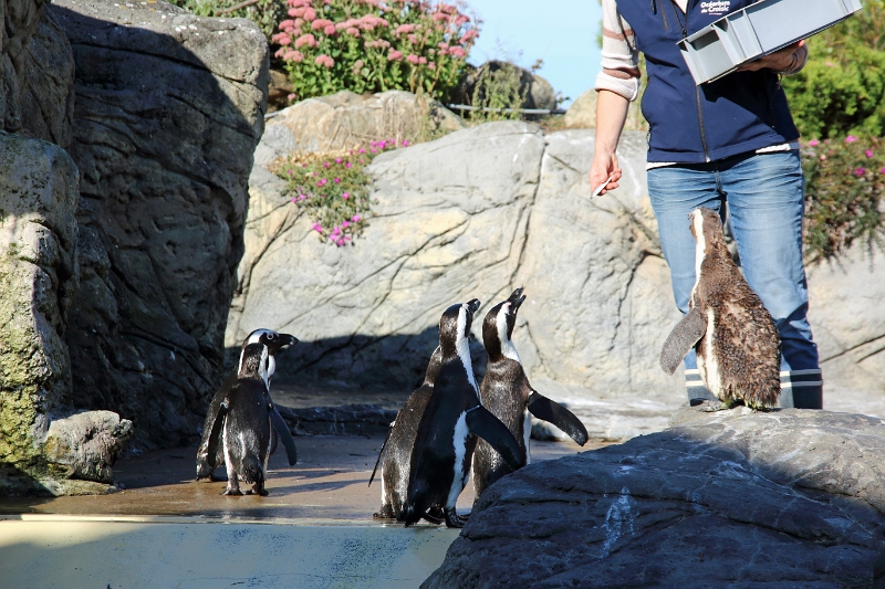 01_ocearium_030.jpg