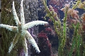 01_ocearium_008