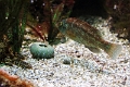 01_ocearium_009