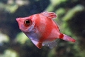 01_ocearium_010