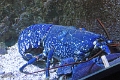 01_ocearium_016