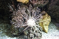01_ocearium_024