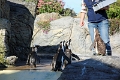 01_ocearium_030