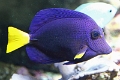 01_ocearium_058