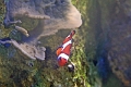01_ocearium_061