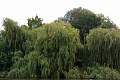 08_croisiere-erdre_019