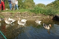 11_la_briere_005