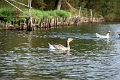 11_la_briere_008