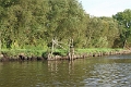 11_la_briere_010